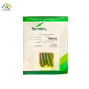 PS 64 F1 Hybrid Cucumber Seeds – 500 Seeds