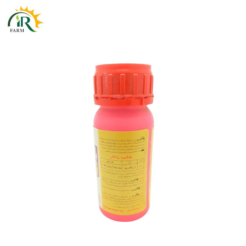 Parlor Star Seed Treatment