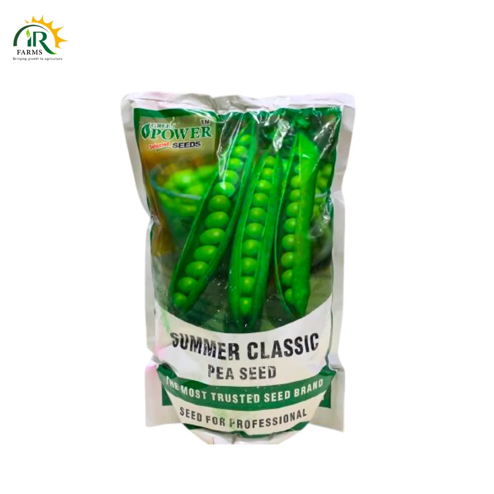 Peas Summer Classic Seed 2kg – Pencil Type Matar Beej | Green Power Seeds