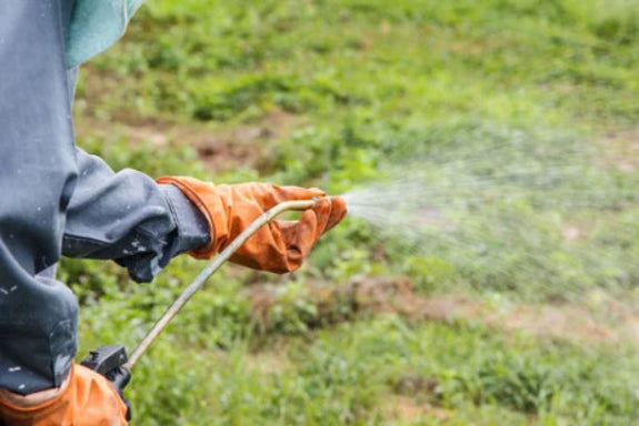 Pest and Weed Management
