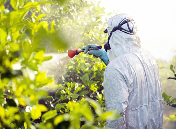 Pesticides