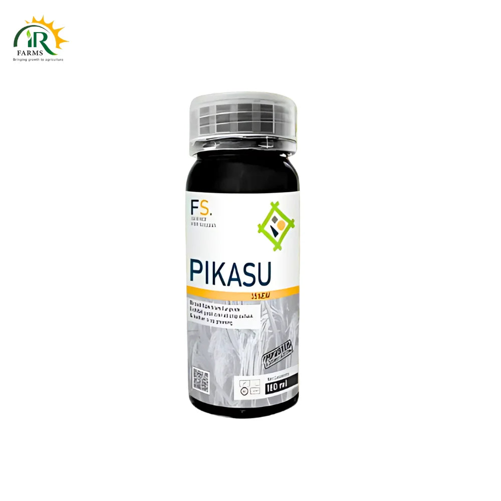 Pikasu 35EW