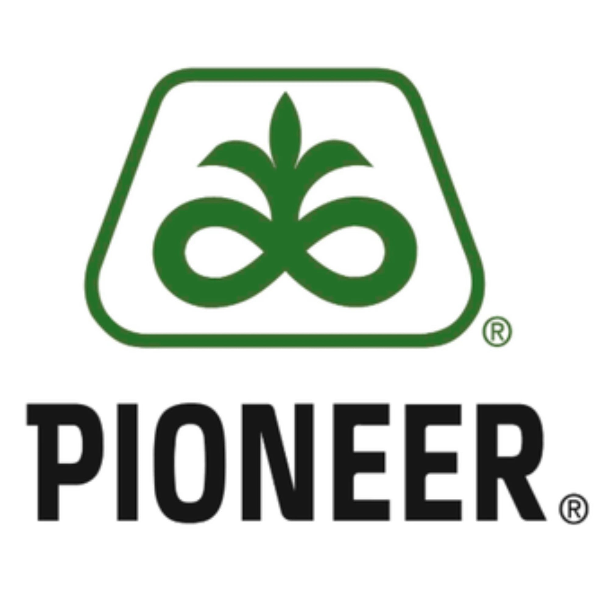 Pioneer