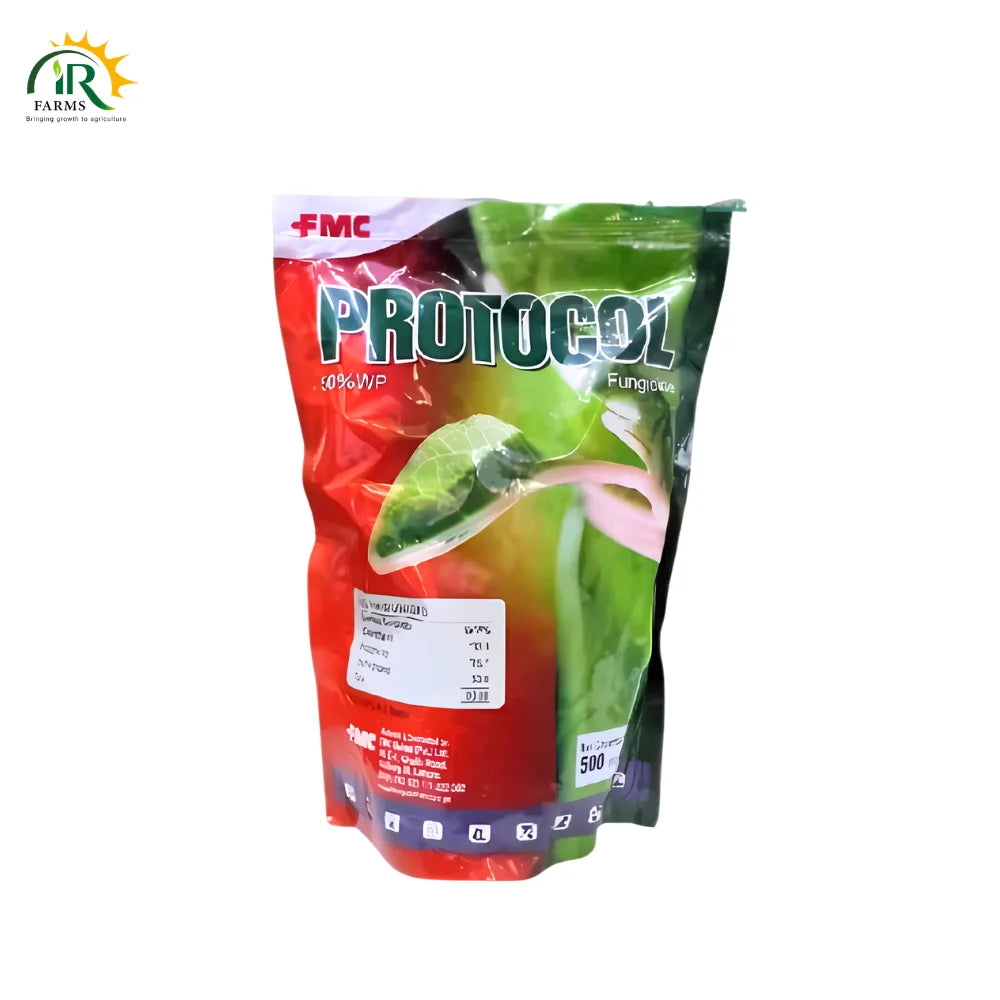 Protocol 50WP – 500g Chlorothalonil + Procymidione Fungicide | FMC | Grey Mold &amp; Blight Control