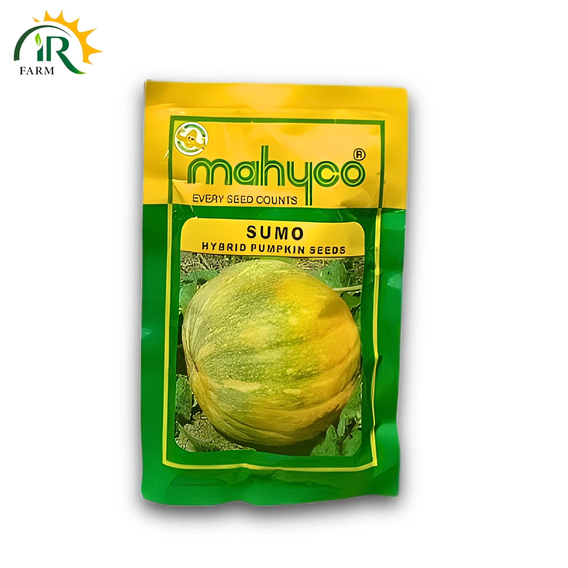 Pumpkin Sumo Hybrid Seed F1