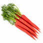 Carrot