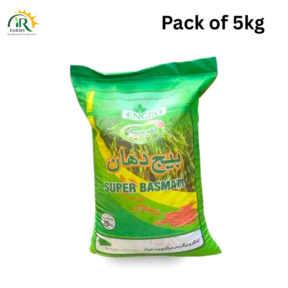Al Khalid Basmati Rice Seed 
