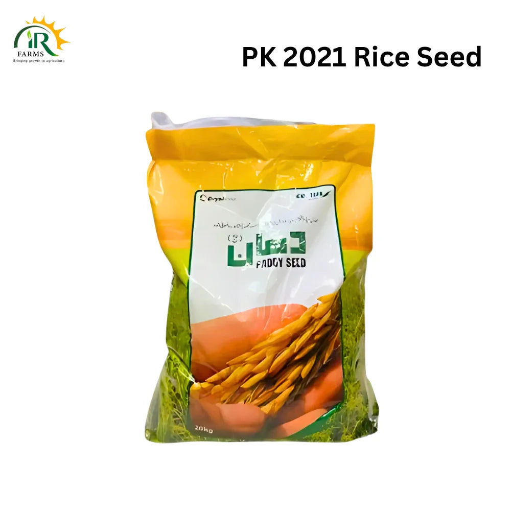 Rice Seed PK 2021 Basic 20kg | Basmati Fine Variety | Paddy Seed | Evyol Group | Combagro | Kanzo