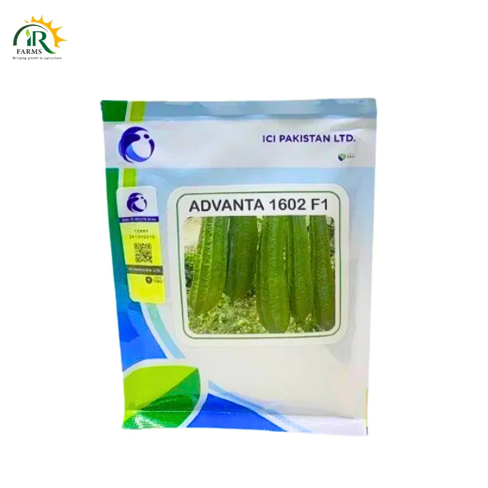 Ridge Gourd Advanta 1602 F1 Tori 50gm Ici Pakistan Luck Core Industries Lci Hybrid Seed