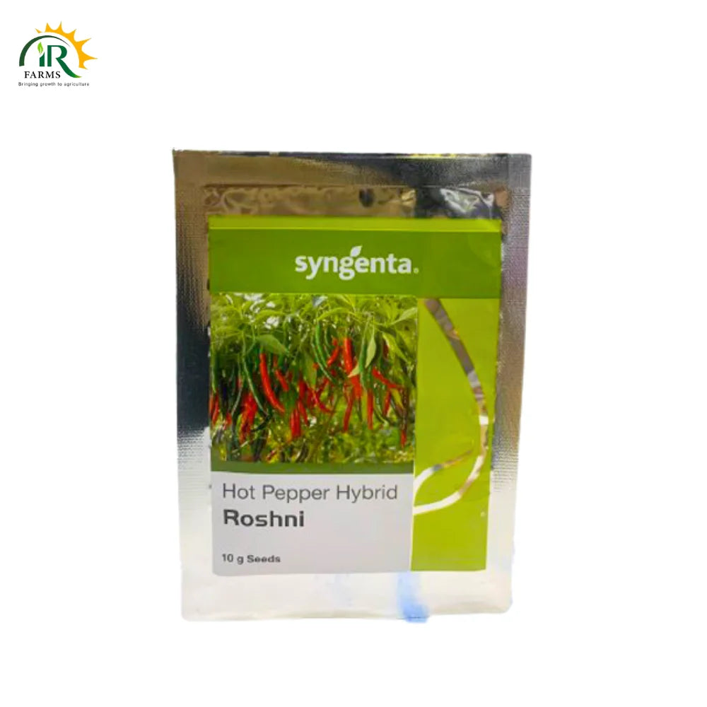 Roshni Hot Pepper Hybrid F1 Seeds Syngenta 10 gm 