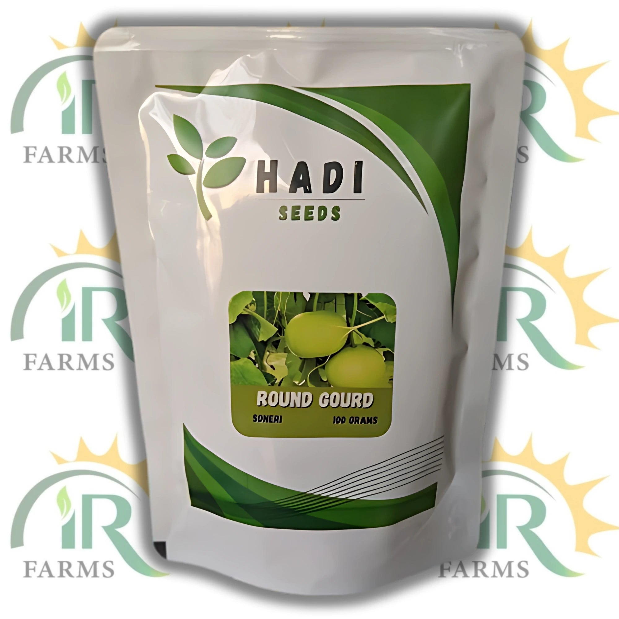 Hadi Seeds Round Gourd (Kaddu) - 100g Pack | 90% Germination | High Yield