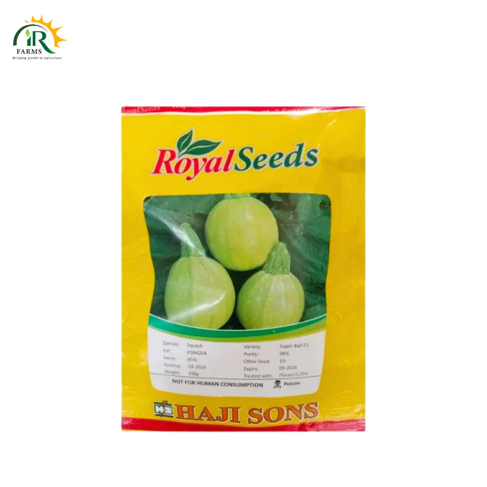 Royal Seeds Super Ball F1 Squash - HAJI SONS