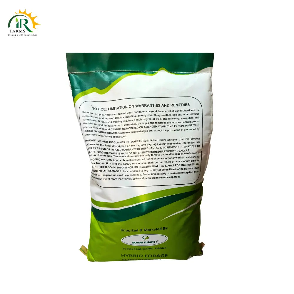 Hybrid Forage Sorghum Seed SD-48 10kg By Sohni Dharti - The Ultimate High-Yielding Jawar for Dairy Success