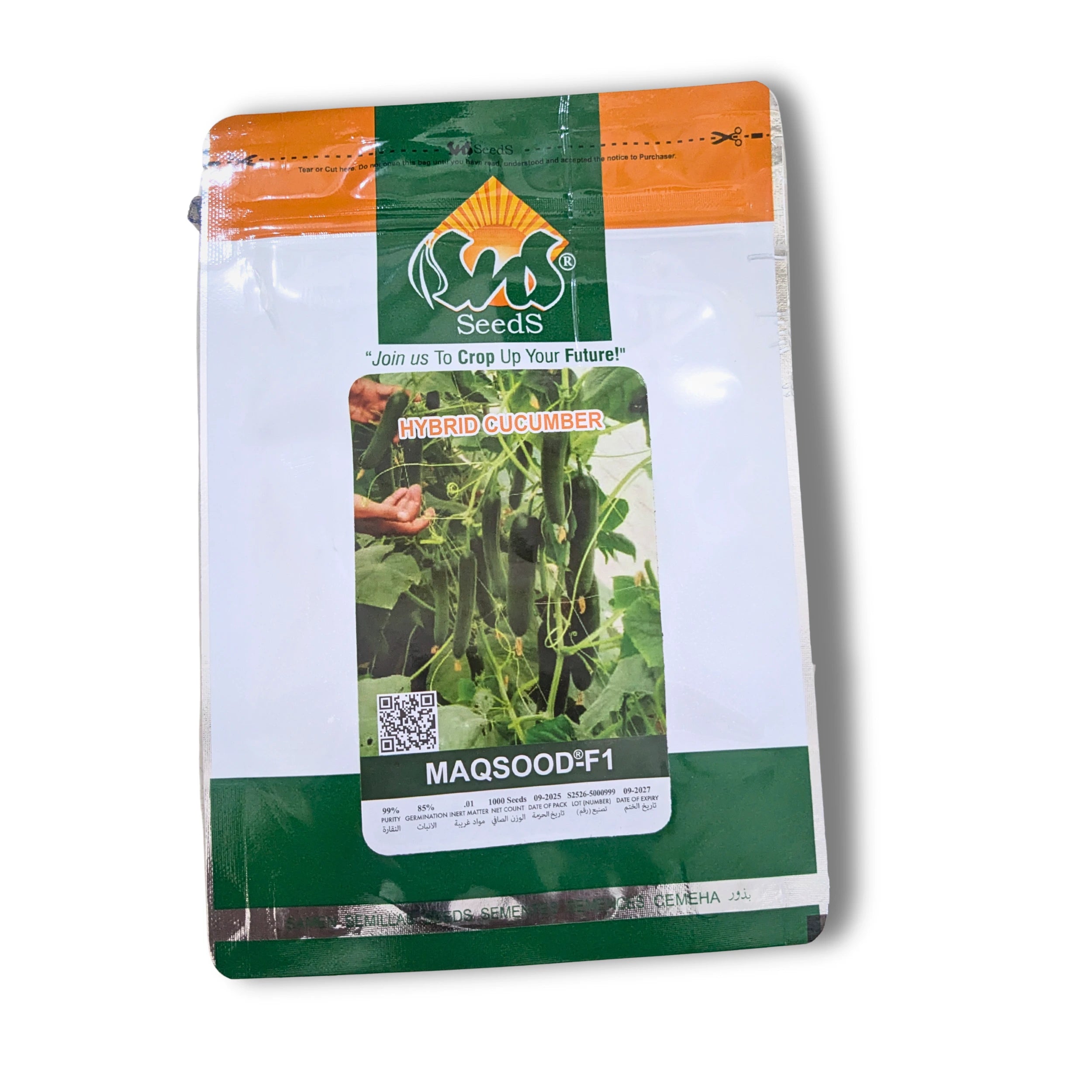 Hybrid Cucumber Seeds MAQSOOD-F1 | Early Maturity, High Yield & Strong Germination