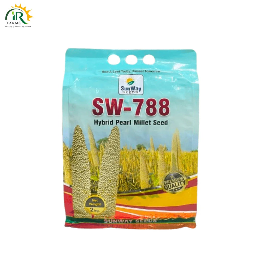 SW788 Hybrid Bajra Seed 2kg SunWay Seed