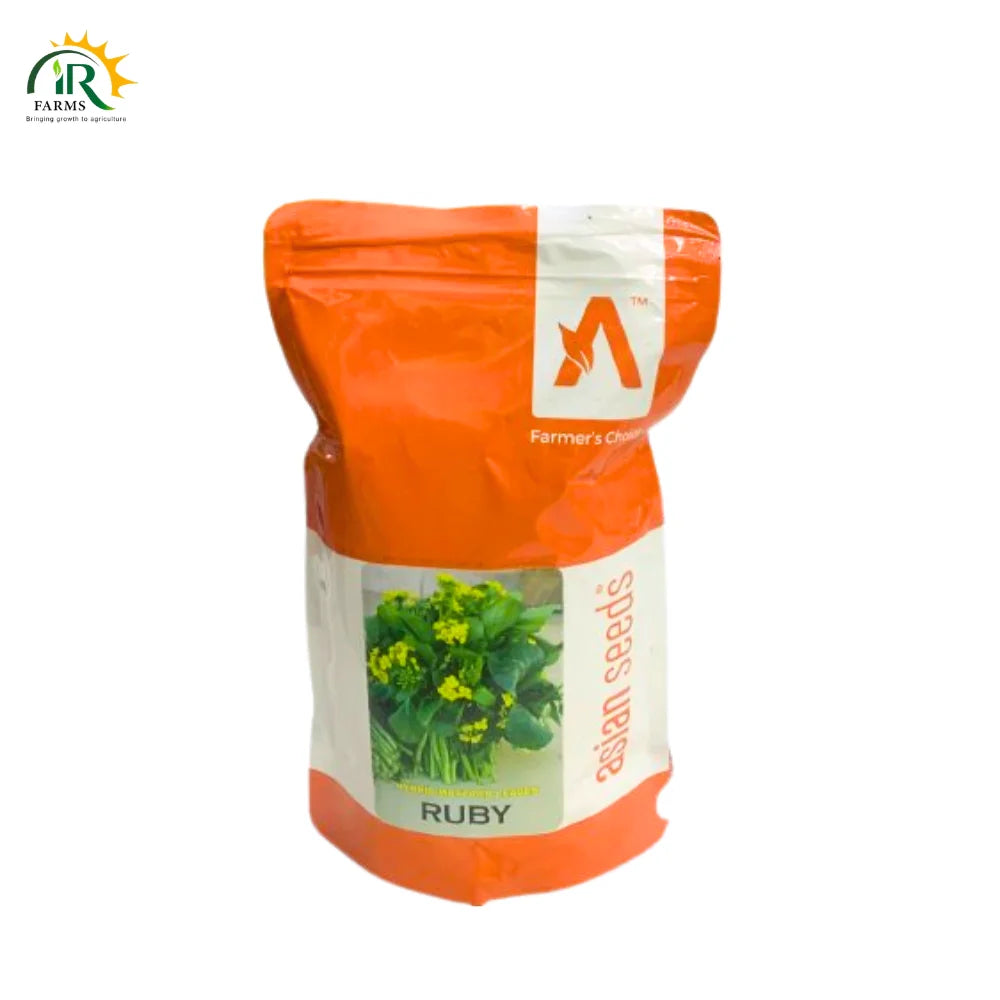 Saag Ruby Hybrid Mustard Leaves Seeds F1 500gm Ntl Seeds Asian Seeds