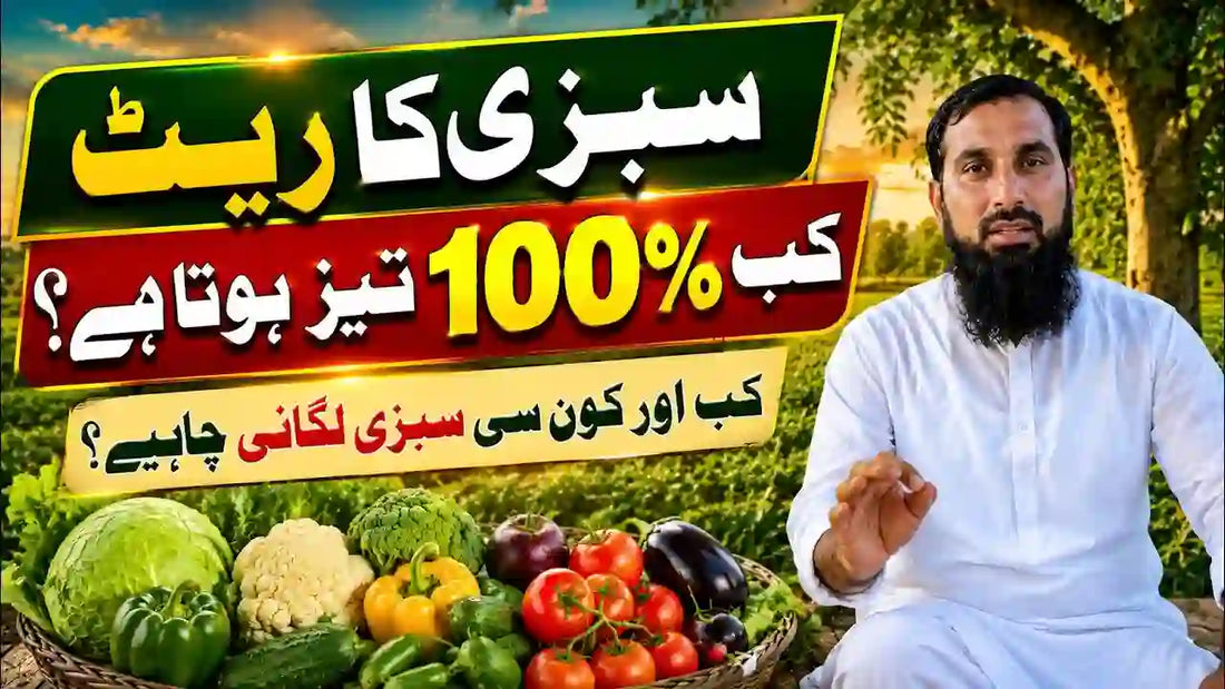 sabzi ka rate kb tez hota ha