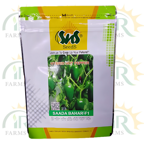 Hot Pepper Seeds | Variety Sadda Bahar F1 | SnS