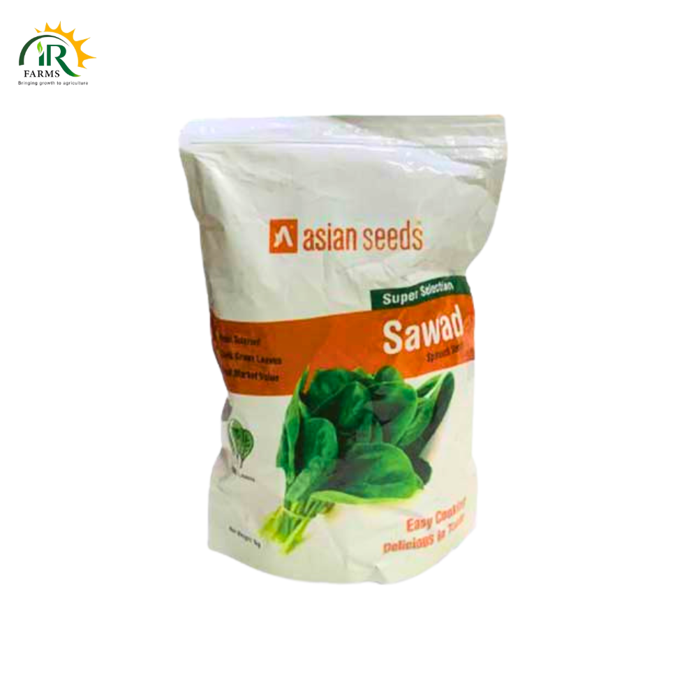 Sawad Spinach Seeds 1kg Broad Leaves Easy Cooking Delicious In Taste Ntl Seeds Asian Seeds Palak Ka Beej