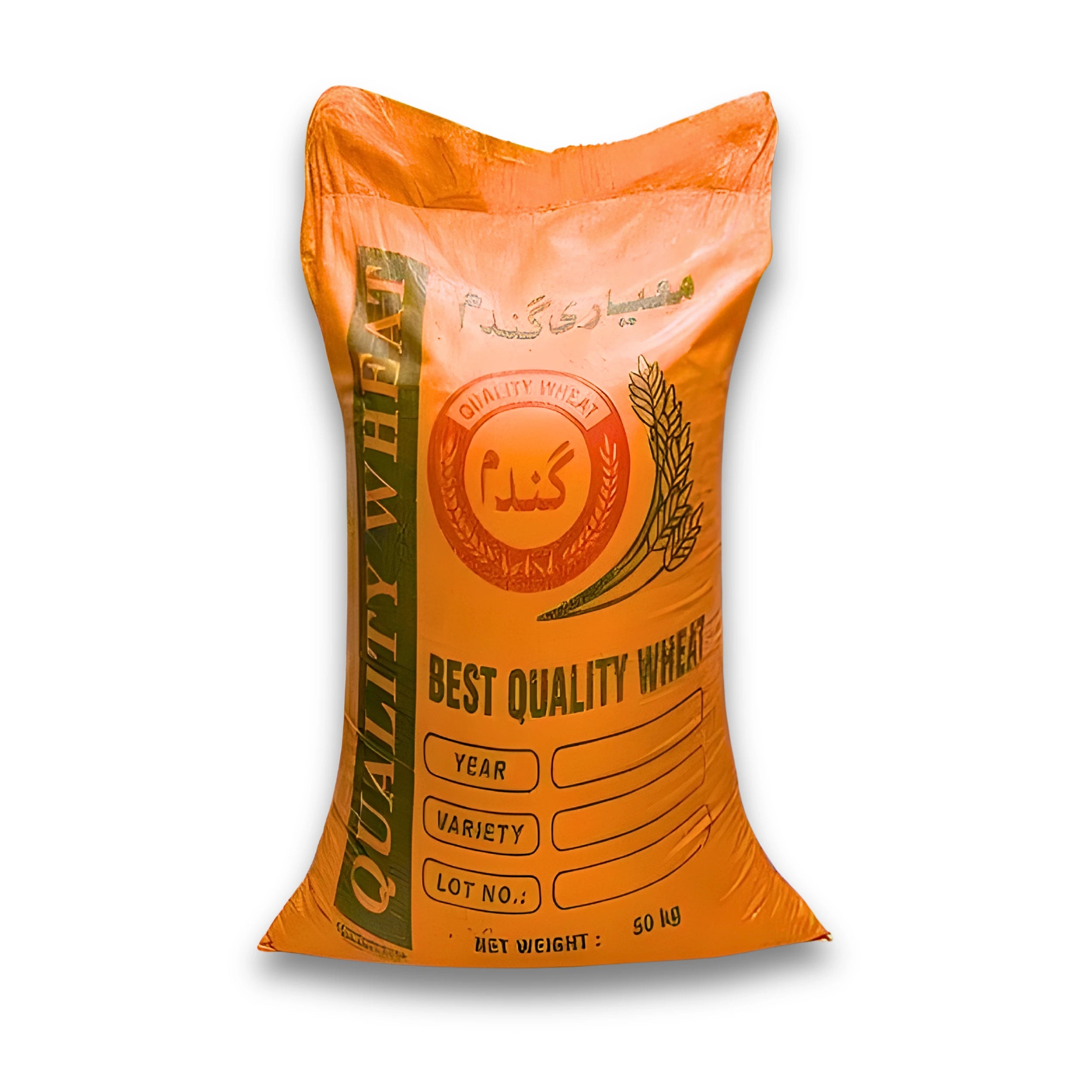 Sawera 24 Wheat Seed 50KG – Premium Sowing Seed by Global Products