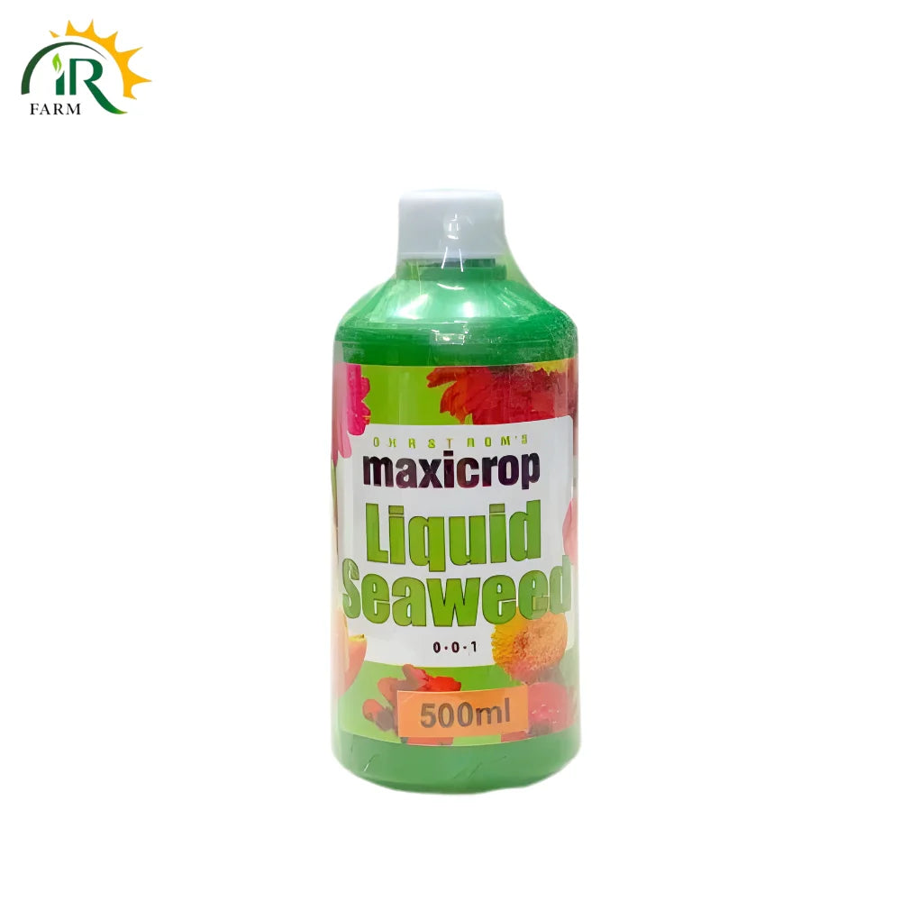 Seaweed Liquid Bio Fertilizer for soil fertility and crop health