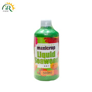 Seaweed Liquid Bio Fertilizer for soil fertility and crop health