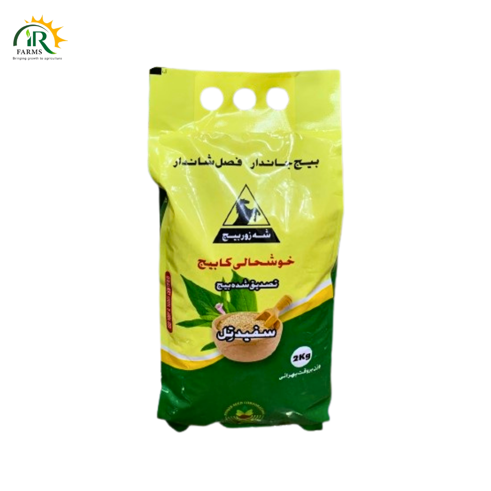 Sesame Seed TS-03 – 2kg Pack | White Till Beej for Sowing | High-Yield Variety by Punjab Seed Corporation