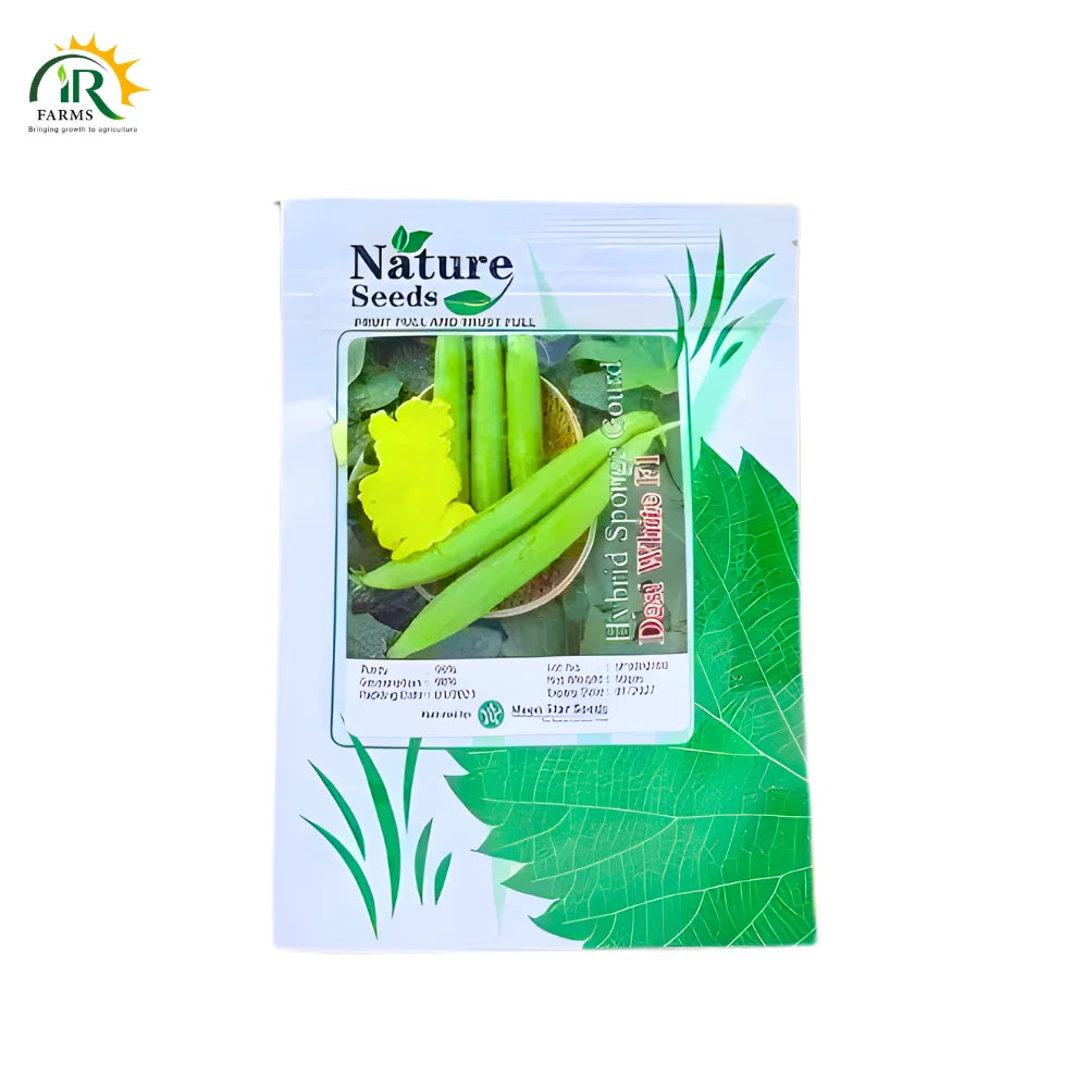 Sponge Gourd Tori Seeds 50gm Desi White F1