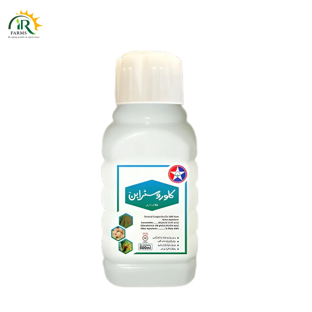 SporoKill 56SC Fungicide (Azoxystrobin + Chlorothalonil) by ICS Imperial Crop Tara Crop Group - Premium Dual-Action Protection for Onion Purple Blotch, Downy Mildew, and Leaf Blights
