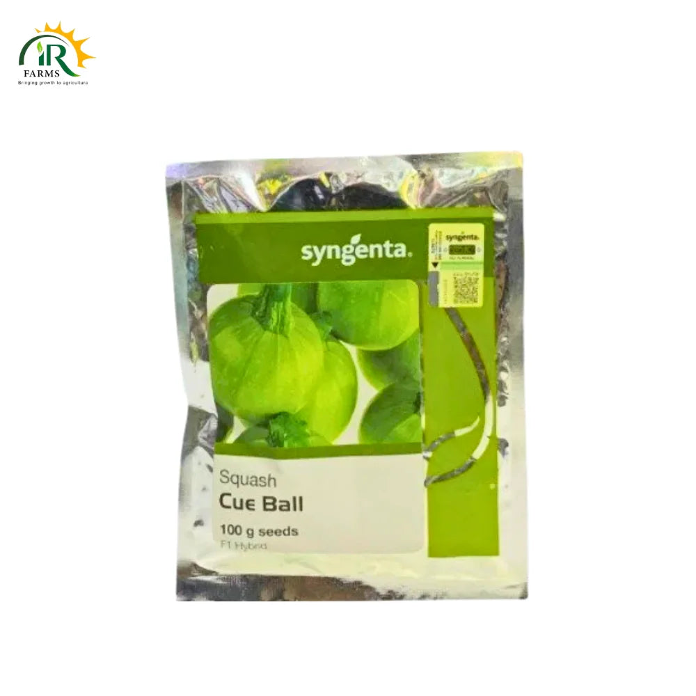 Squash Cue Ball F1 Hybrid Seeds (100 gm) Syngenta Seeds