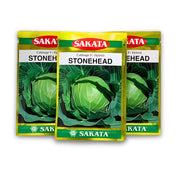 Stonehead Hybrid F1 Cabbage Seeds(Band Gobhi Beej) – Easy-to-Grow Cabbage for High Profit | SAKATA - 10gm