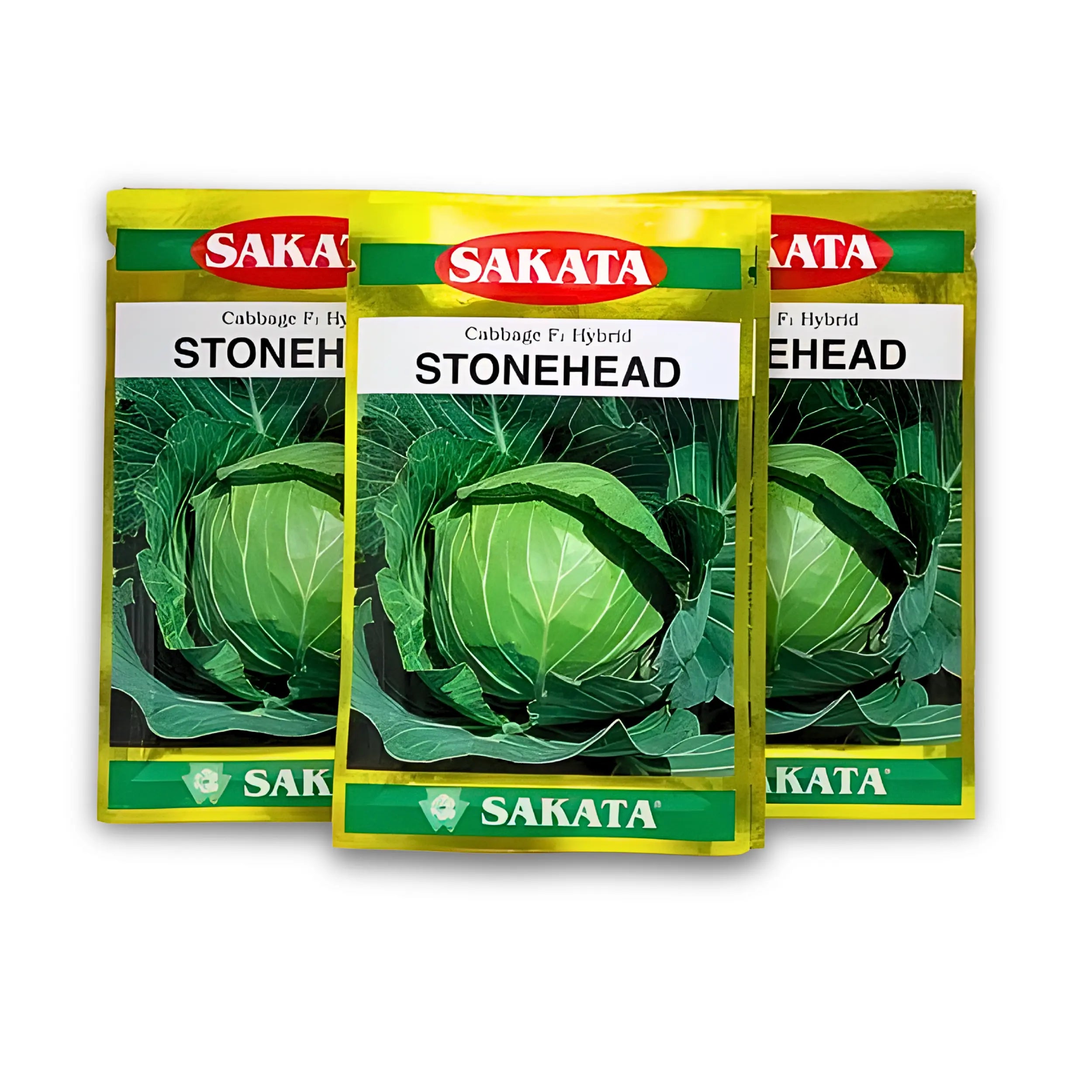Stonehead Hybrid F1 Cabbage Seeds(Band Gobhi Beej) – Easy-to-Grow Cabbage for High Profit | SAKATA - 10gm