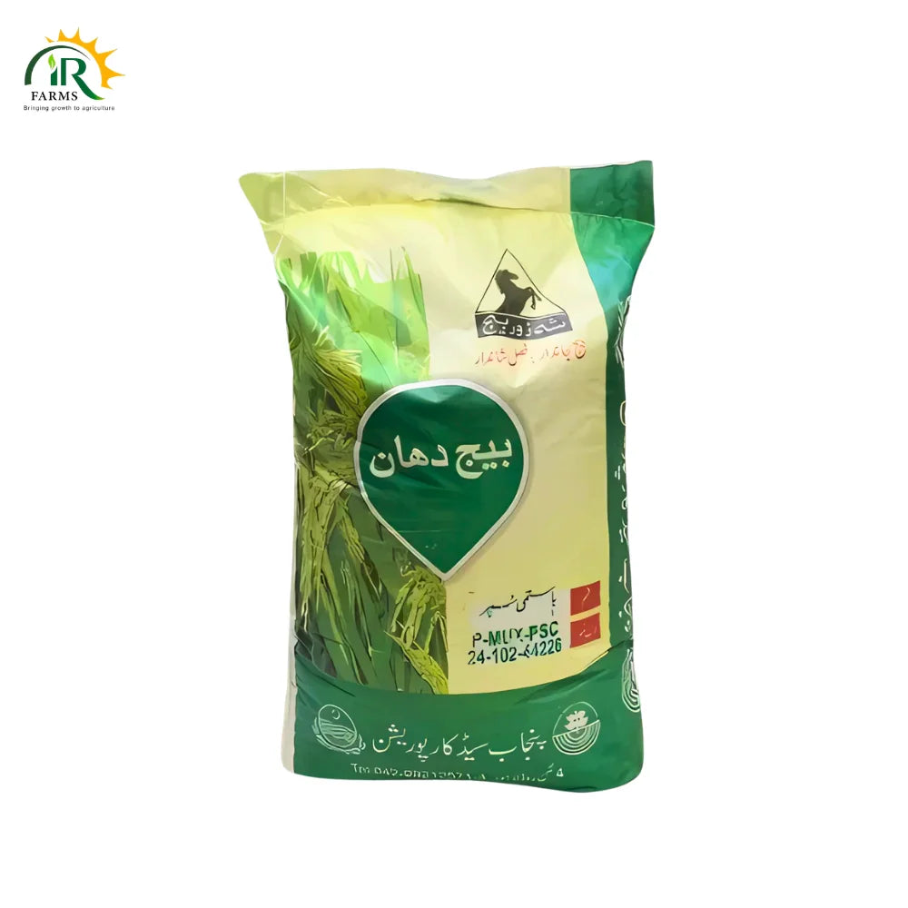 Super Basmati Rice Seed 20kg Paddy Seed Punjab Seed corporation Pakistani