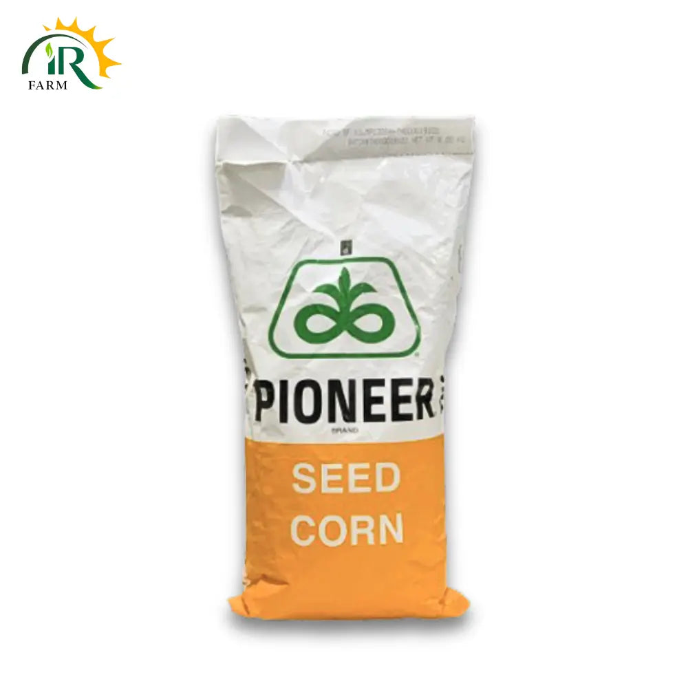 Surkhab Hybrid Corn Seed - Premium Corn Seed for Enhanced Yield and Resilience
