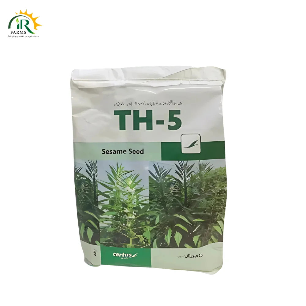 TS-05 Sesame Seeds 2kg – Pure Organic White Seeds _ Evyol Combagro Hybrid