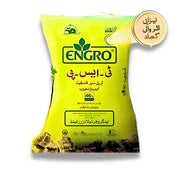 TSP Engro Fertilizer – Advanced Phosphorus Booster for High Yield (50 KG)