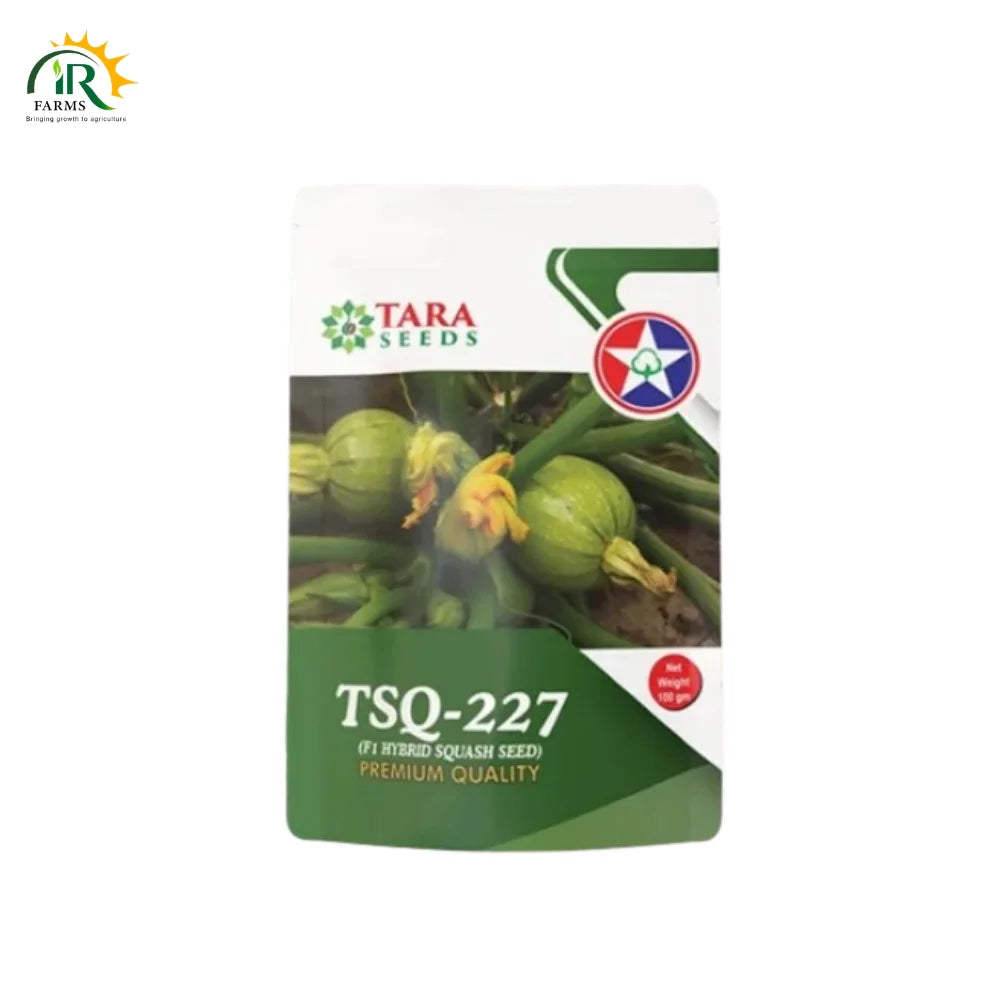 TSQ 227 F1 Hybrid Squash Seed Premium Quality