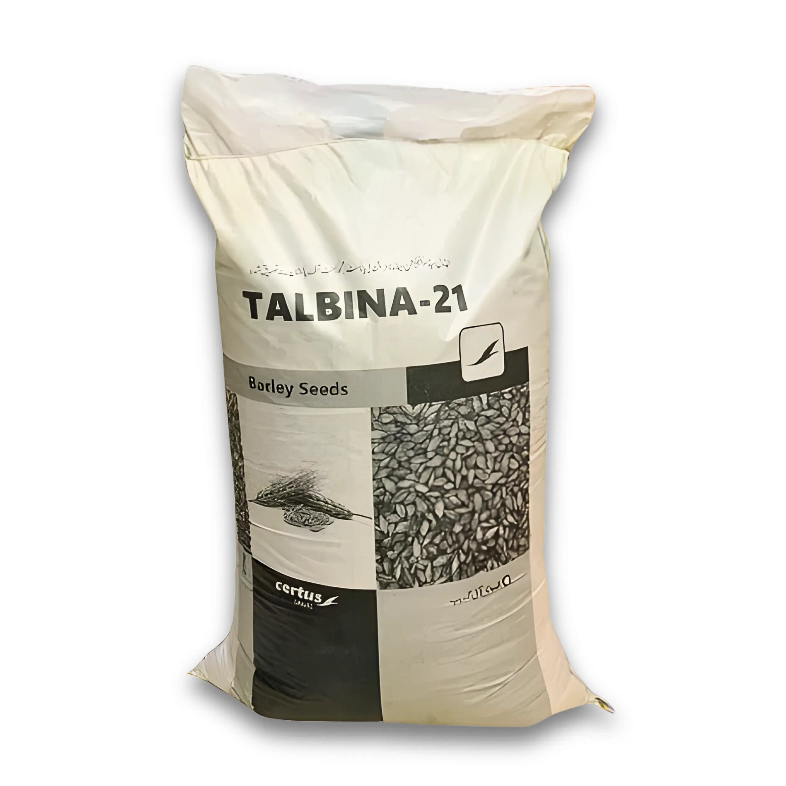 Premium Talbina-21 Barley(Jau) Seeds 5kg – High-Yield, Trusted by Farmers | Evyol Group