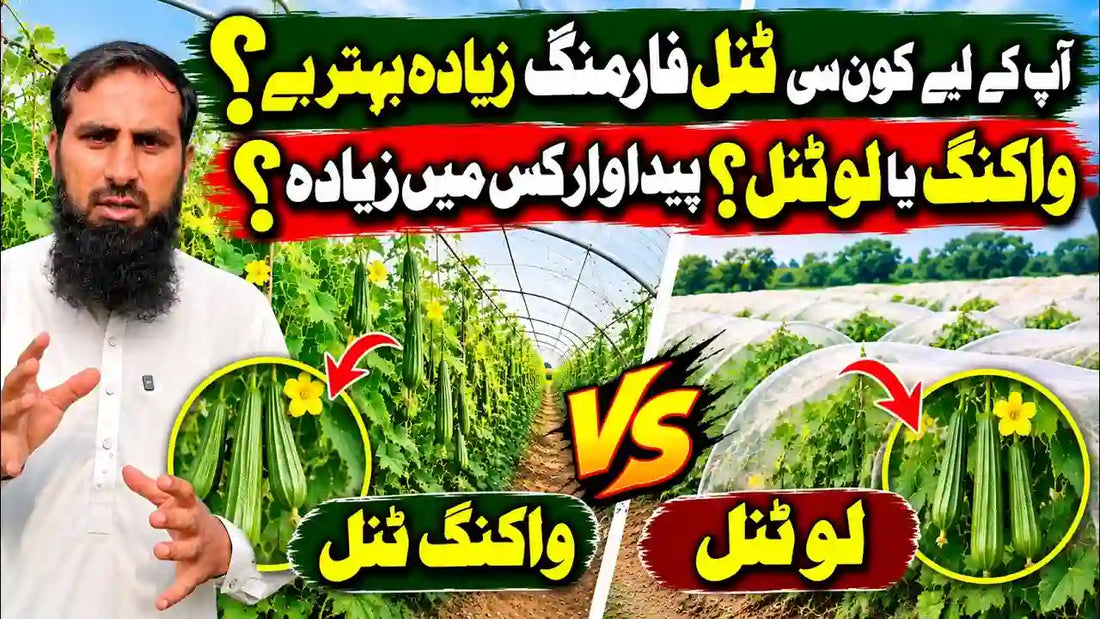 IR Farm