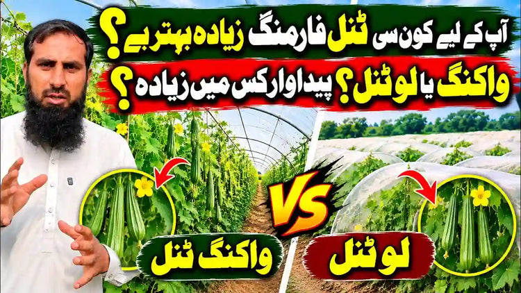 IR Farm