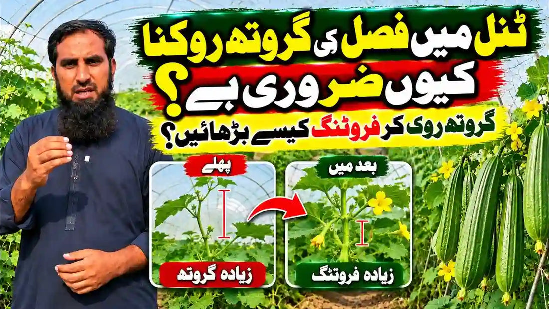 IR Farm