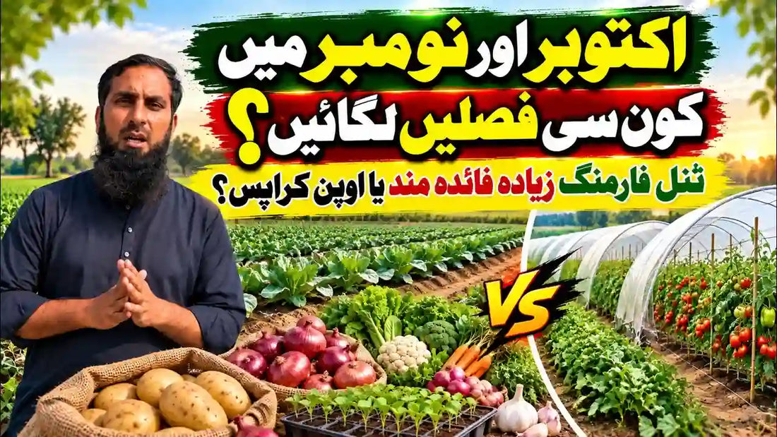 IR Farm