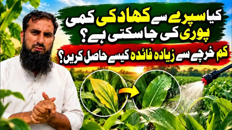 IR Farm