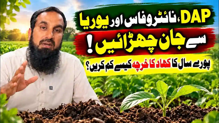 IR Farm