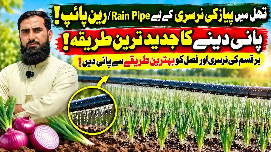 IR Farm