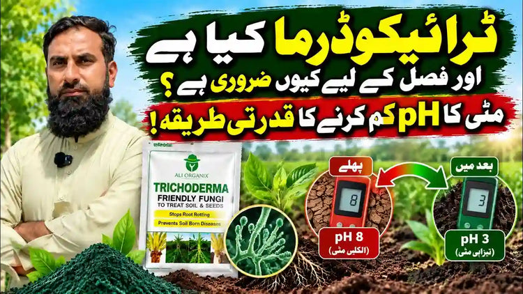IR Farm