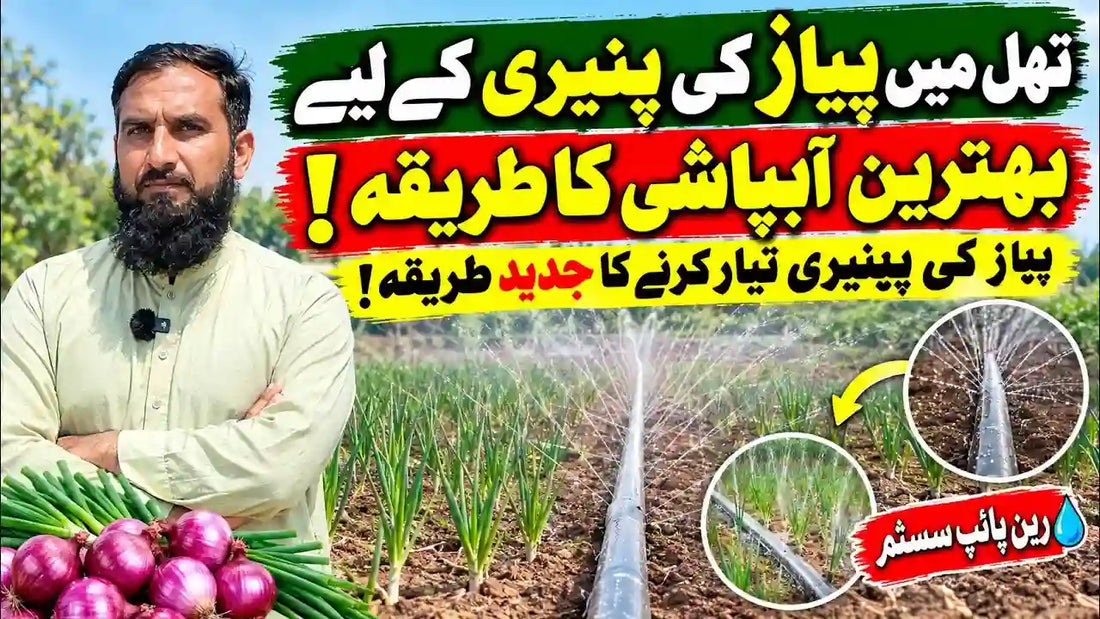 IR Farm