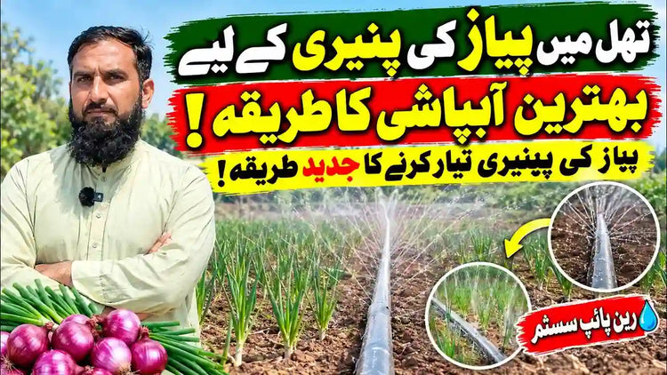 IR Farm