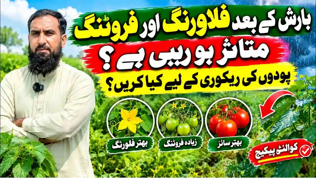 IR Farm