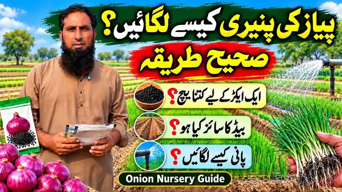 IR Farm